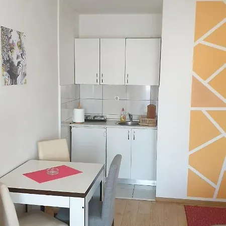 Apartment Borko 3-2 *