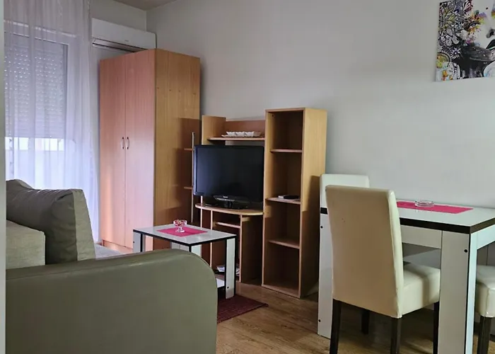 Borko 3-2 * 洛兹尼察